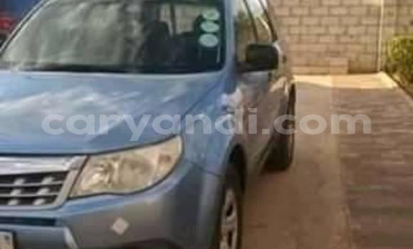 Tenga Tsaru Subaru Forester Bhuruu Mota in Lusaka in Zambia Tenga Tsaru Subaru Forester Bhuruu Mota in Lusaka in Zambia