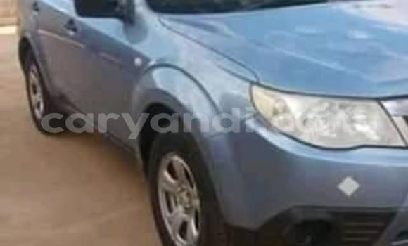 Tenga Tsaru Subaru Forester Bhuruu Mota in Lusaka in Zambia Tenga Tsaru Subaru Forester Bhuruu Mota in Lusaka in Zambia