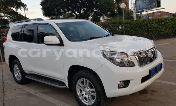 Acheter Occasion Voiture Toyota Prado Blanc à Lusaka, Zambie Acheter Occasion Voiture Toyota Prado Blanc à Lusaka, Zambie