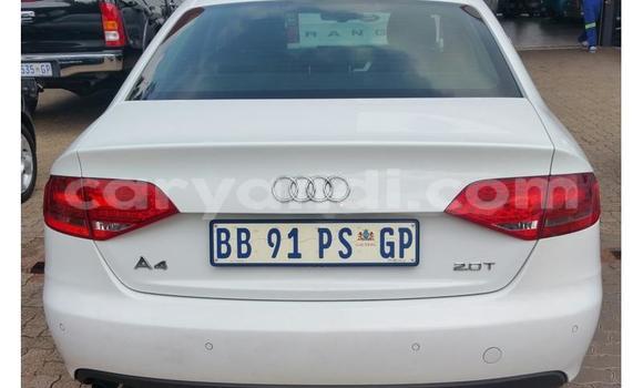 Buy Used Audi A4 White Car in Chilanga in Lusaka Buy Used Audi A4 White Car in Chilanga in Lusaka