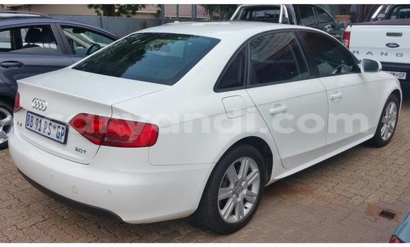 Buy Used Audi A4 White Car in Chilanga in Lusaka Buy Used Audi A4 White Car in Chilanga in Lusaka