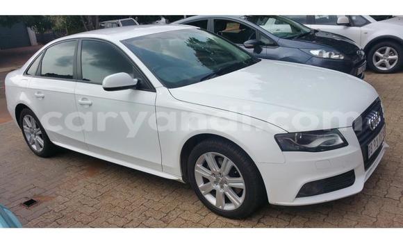 Buy Used Audi A4 White Car in Chilanga in Lusaka Buy Used Audi A4 White Car in Chilanga in Lusaka