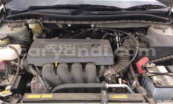 Tenga Itsva BMW X3 Sirivha Mota in Chipata in Zambia Tenga Itsva BMW X3 Sirivha Mota in Chipata in Zambia