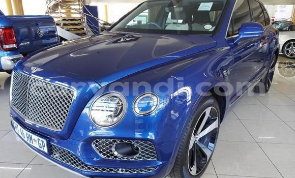 Buy Used Bentley Bentayga Blue Car in Livingstone in Zambia
