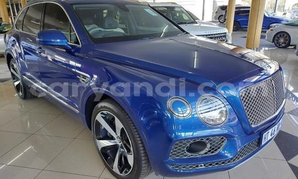 Acheter Occasion Voiture Bentley Bentayga Bleu à Livingstone, Zambie Acheter Occasion Voiture Bentley Bentayga Bleu à Livingstone, Zambie