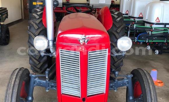 Tenga Tsaru Caterpillar 120 Tsvuku Rori in Chingola in Zambia Tenga Tsaru Caterpillar 120 Tsvuku Rori in Chingola in Zambia