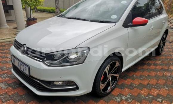 Buy Used Volkswagen Polo GTI White Car in Ndola in Zambia