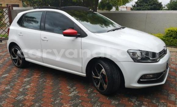 Tenga Tsaru Volkswagen Polo GTI Chena Mota in Ndola in Zambia Tenga Tsaru Volkswagen Polo GTI Chena Mota in Ndola in Zambia