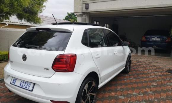 Tenga Tsaru Volkswagen Polo GTI Chena Mota in Ndola in Zambia Tenga Tsaru Volkswagen Polo GTI Chena Mota in Ndola in Zambia