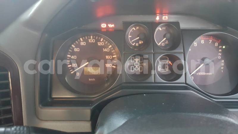 Big with watermark paj odometer