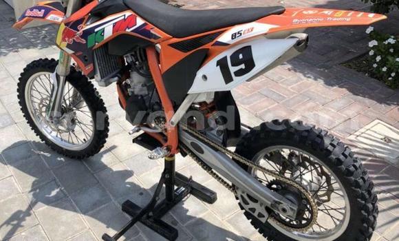 Buy Used KTM 85 SX 19/16 Red Bike in Lusaka in Zambia