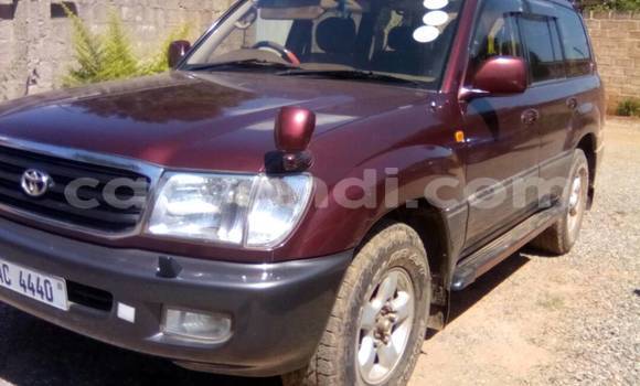 Acheter Occasion Voiture Toyota Land Cruiser Rouge à Lusaka, Zambie Acheter Occasion Voiture Toyota Land Cruiser Rouge à Lusaka, Zambie