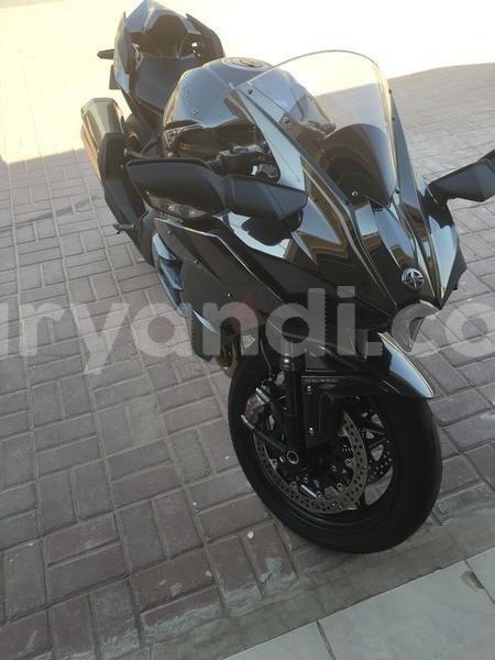 Big with watermark 345645765756