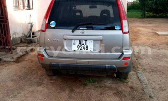 Tenga Tsaru Nissan X–Trail Sirivha Mota in Lusaka in Zambia Tenga Tsaru Nissan X–Trail Sirivha Mota in Lusaka in Zambia