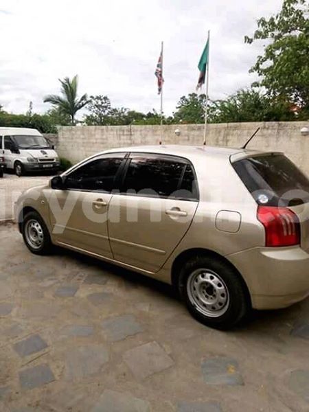 Big with watermark 30623955 578122035882356 6857030771144654848 n