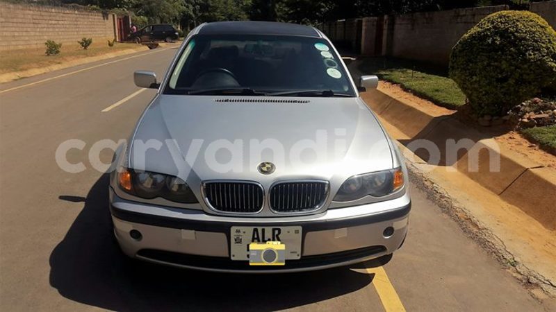 Big with watermark 30623955 578122035882356 6857030771144654848 n