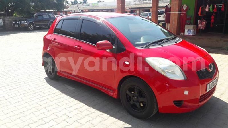 Big with watermark 30629329 194112211393369 244064733525704704 n