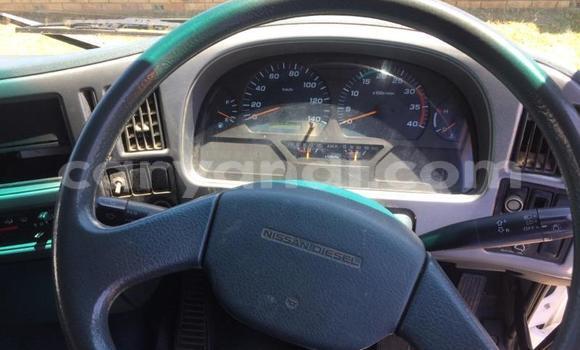 Acheter Occasion Utilitaire Nissan UD Blanc à Livingstone, Zambie Acheter Occasion Utilitaire Nissan UD Blanc à Livingstone, Zambie