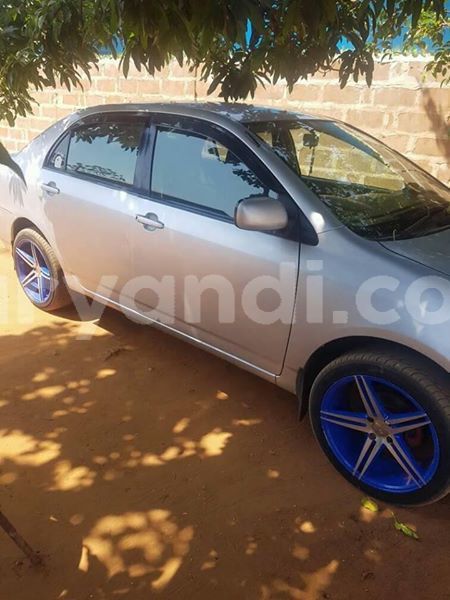 Big with watermark 30623955 578122035882356 6857030771144654848 n