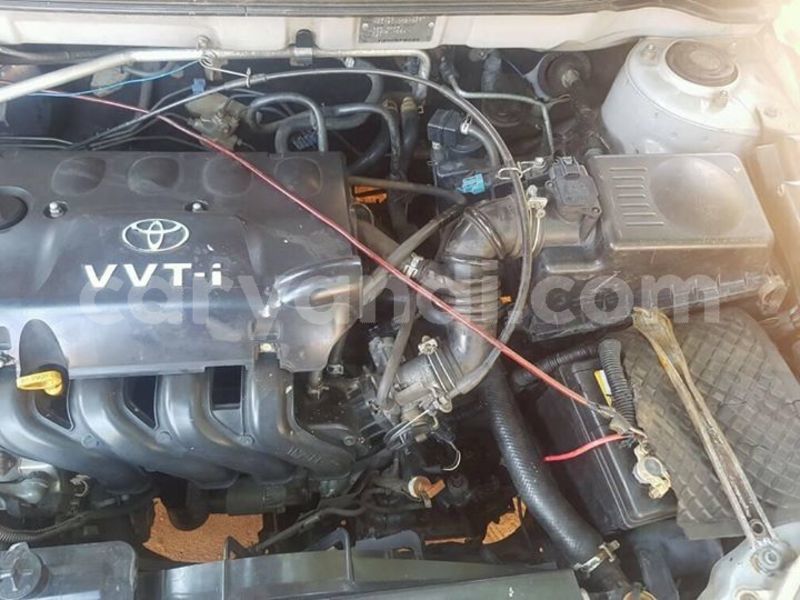 Big with watermark 30629329 194112211393369 244064733525704704 n