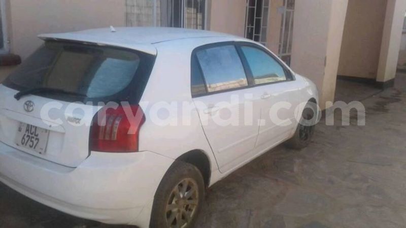 Big with watermark 30623955 578122035882356 6857030771144654848 n