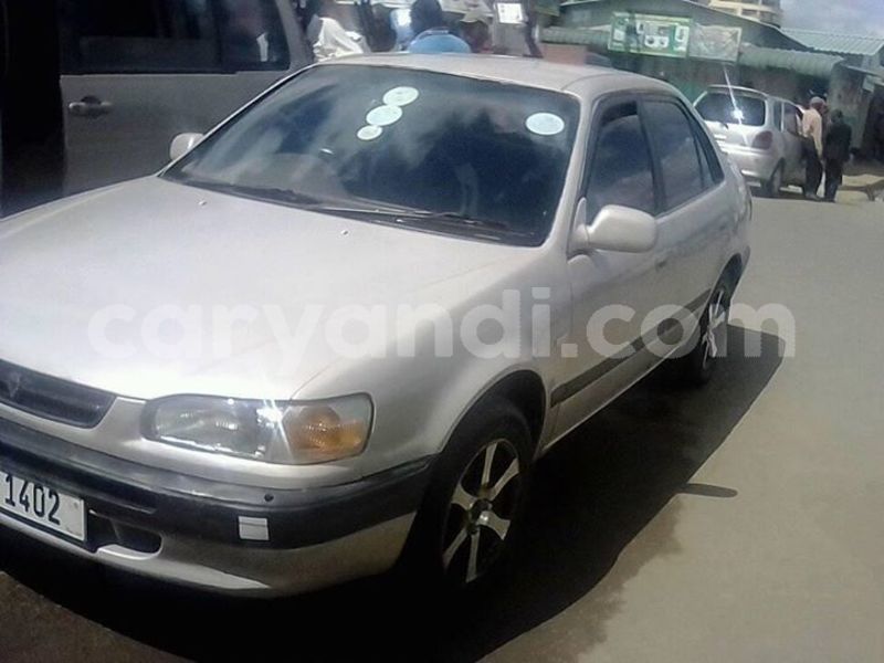 Big with watermark 30629329 194112211393369 244064733525704704 n