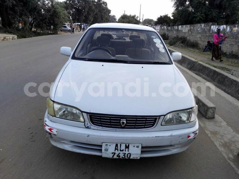 Big with watermark 30623955 578122035882356 6857030771144654848 n