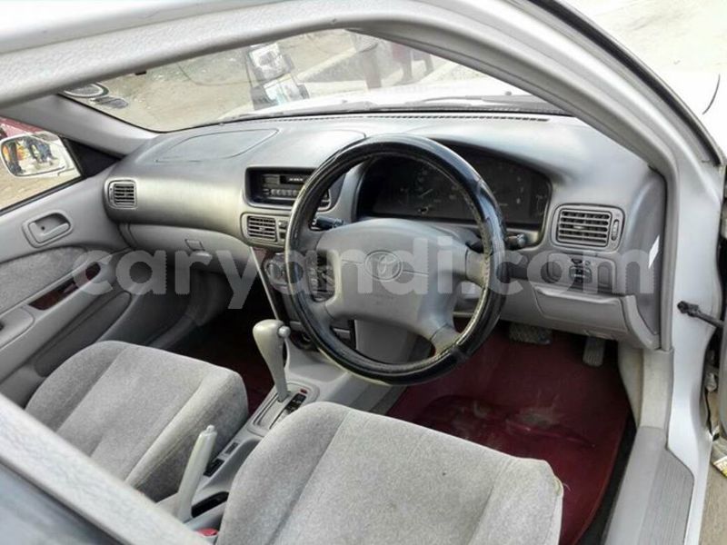 Big with watermark 30713367 2109701875916457 3681336901257956076 n