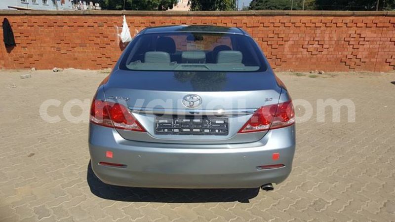 Big with watermark 30623955 578122035882356 6857030771144654848 n