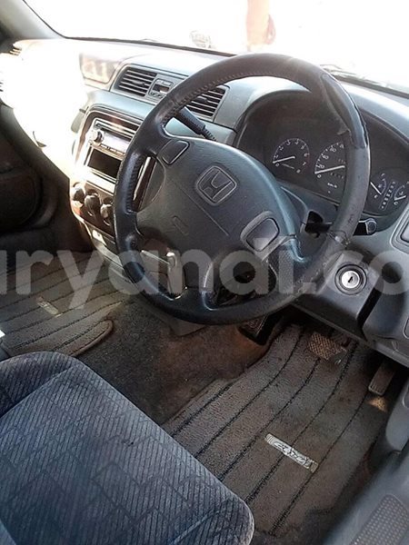 Big with watermark 30705011 1080215435450894 1812932972978896896 n