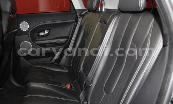 Buy Used Rover SD1 Silver Car in Lusaka in Zambia Buy Used Rover SD1 Silver Car in Lusaka in Zambia