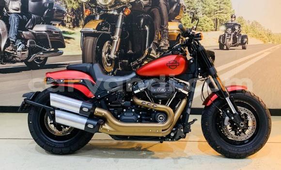 Buy Used Harley Davidson FL Red Bike in Isoka in Northern