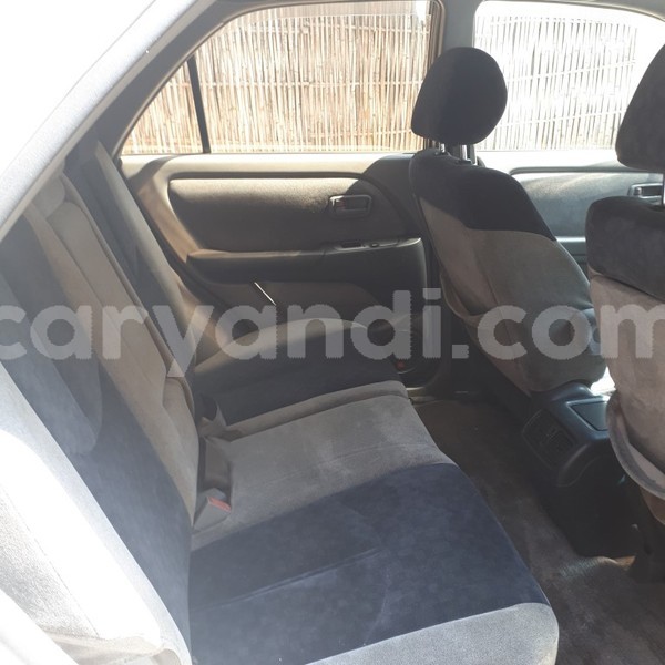 Big with watermark 20180509 122345 2 medium