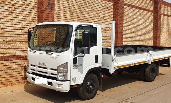 Buy Used Isuzu FTR 850 White Truck in Chilanga in Lusaka Buy Used Isuzu FTR 850 White Truck in Chilanga in Lusaka