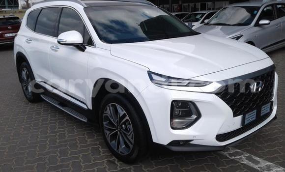 Acheter Occasion Voiture Hyundai Santa Fe Blanc à Lusaka, Zambie