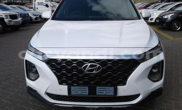 Buy Used Hyundai Santa Fe White Car in Lusaka in Zambia Buy Used Hyundai Santa Fe White Car in Lusaka in Zambia