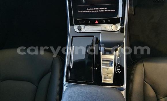 Tenga Tsaru Audi Q8 Sirivha Mota in Livingstone in Zambia Tenga Tsaru Audi Q8 Sirivha Mota in Livingstone in Zambia