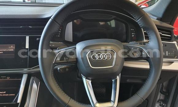 Tenga Tsaru Audi Q8 Sirivha Mota in Livingstone in Zambia Tenga Tsaru Audi Q8 Sirivha Mota in Livingstone in Zambia