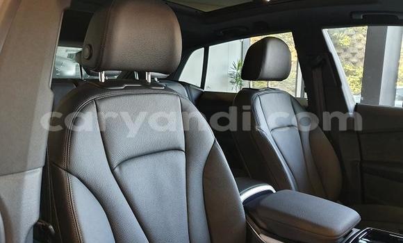 Tenga Tsaru Audi Q8 Sirivha Mota in Livingstone in Zambia Tenga Tsaru Audi Q8 Sirivha Mota in Livingstone in Zambia