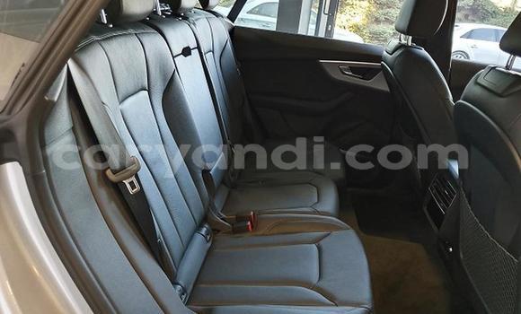 Tenga Tsaru Audi Q8 Sirivha Mota in Livingstone in Zambia Tenga Tsaru Audi Q8 Sirivha Mota in Livingstone in Zambia