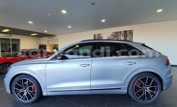 Tenga Tsaru Audi Q8 Sirivha Mota in Livingstone in Zambia Tenga Tsaru Audi Q8 Sirivha Mota in Livingstone in Zambia