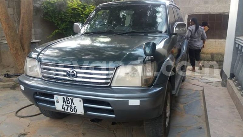 Big with watermark 30623955 578122035882356 6857030771144654848 n