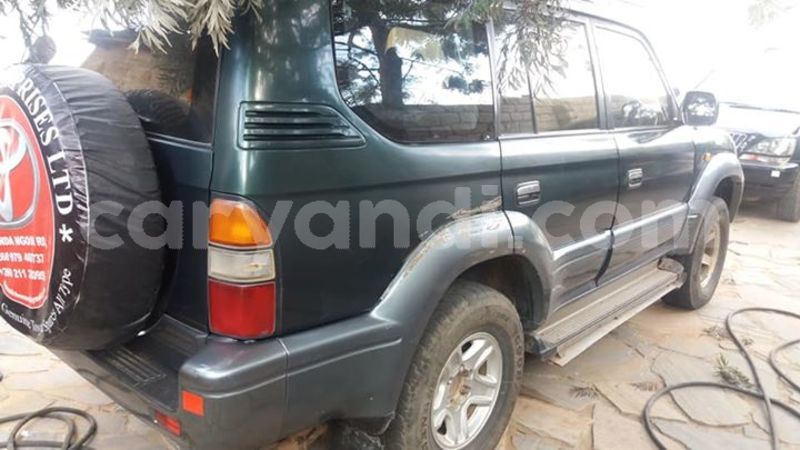 Big with watermark 30629329 194112211393369 244064733525704704 n