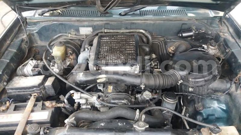 Big with watermark 30705011 1080215435450894 1812932972978896896 n