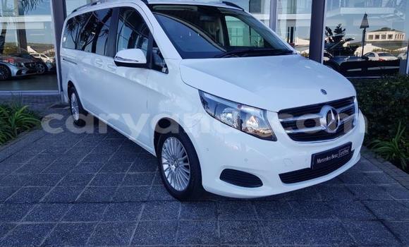 Tenga Tsaru Mercedes‒Benz Viano Chena Mota in Chingola in Zambia Tenga Tsaru Mercedes‒Benz Viano Chena Mota in Chingola in Zambia