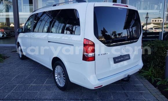 Acheter Occasion Voiture Mercedes‒Benz Viano Blanc à Chingola, Zambie Acheter Occasion Voiture Mercedes‒Benz Viano Blanc à Chingola, Zambie