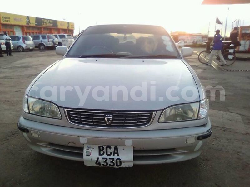 Big with watermark 30623955 578122035882356 6857030771144654848 n