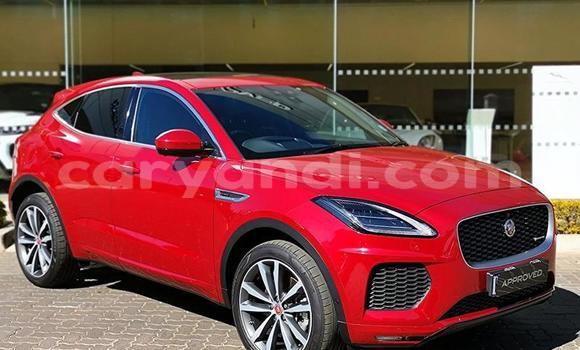 Buy Used Jaguar E-Pace Red Car in Chilanga in Lusaka Buy Used Jaguar E-Pace Red Car in Chilanga in Lusaka