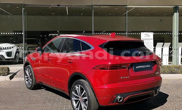 Buy Used Jaguar E-Pace Red Car in Chilanga in Lusaka Buy Used Jaguar E-Pace Red Car in Chilanga in Lusaka