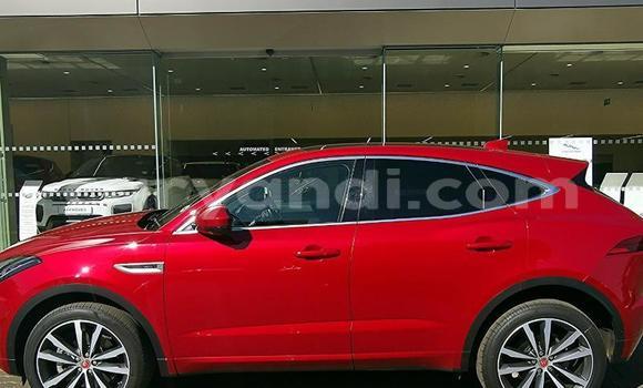 Buy Used Jaguar E-Pace Red Car in Chilanga in Lusaka Buy Used Jaguar E-Pace Red Car in Chilanga in Lusaka